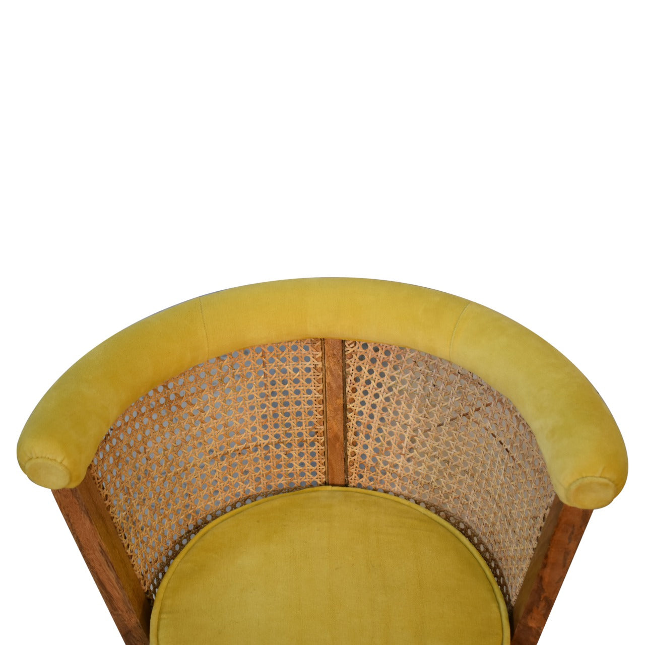 Larissa Mustard Velvet Nordic Chair - Shady Oak and Ivory